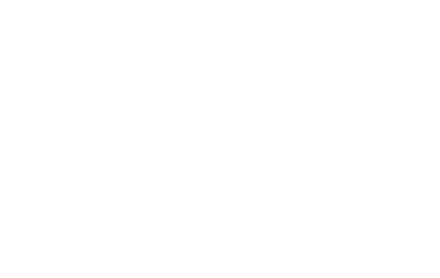 Vardhan Wealth Management Logo